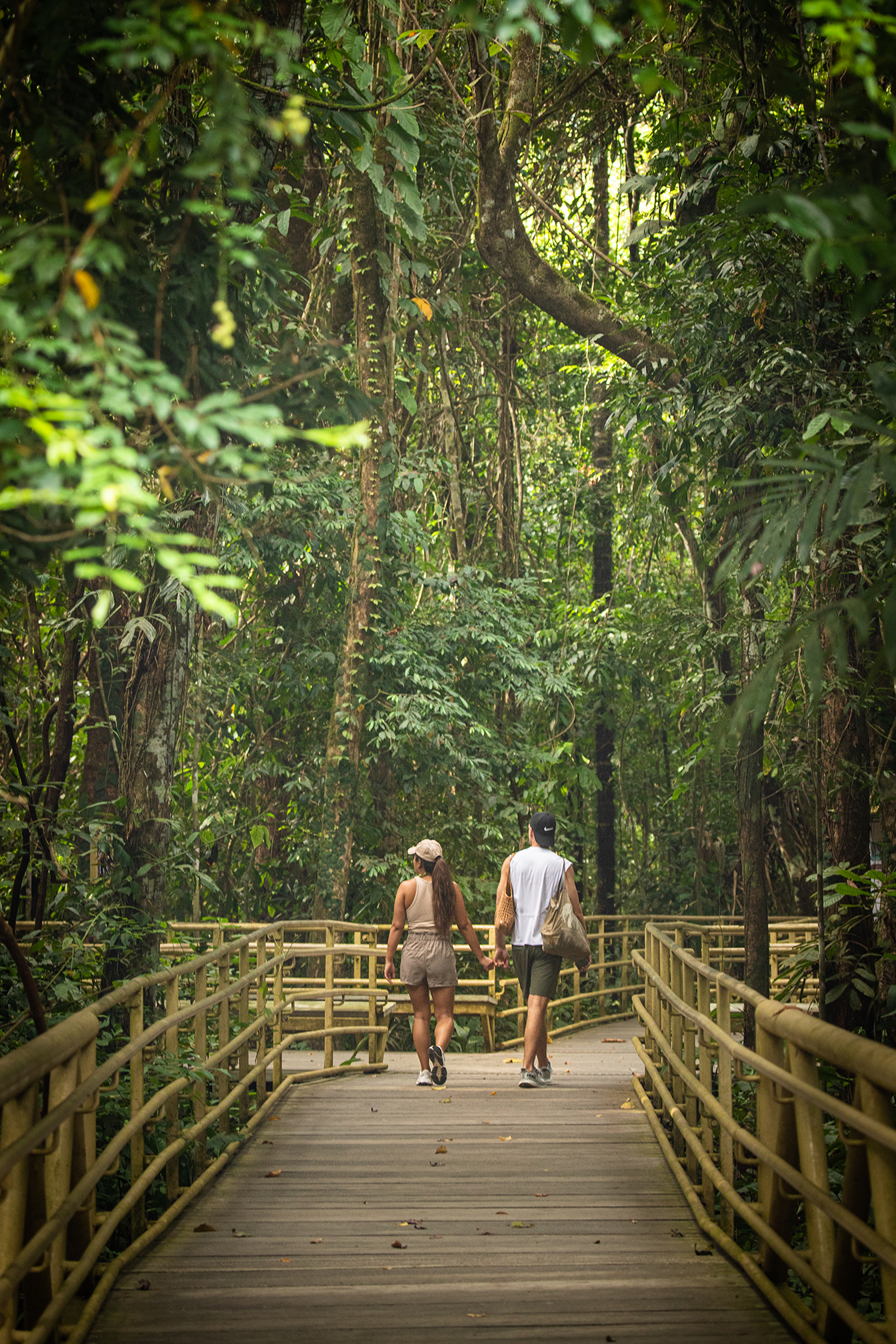 Cómo visitar el Parque Nacional Manuel Antonio Entradas, Horarios y Tips