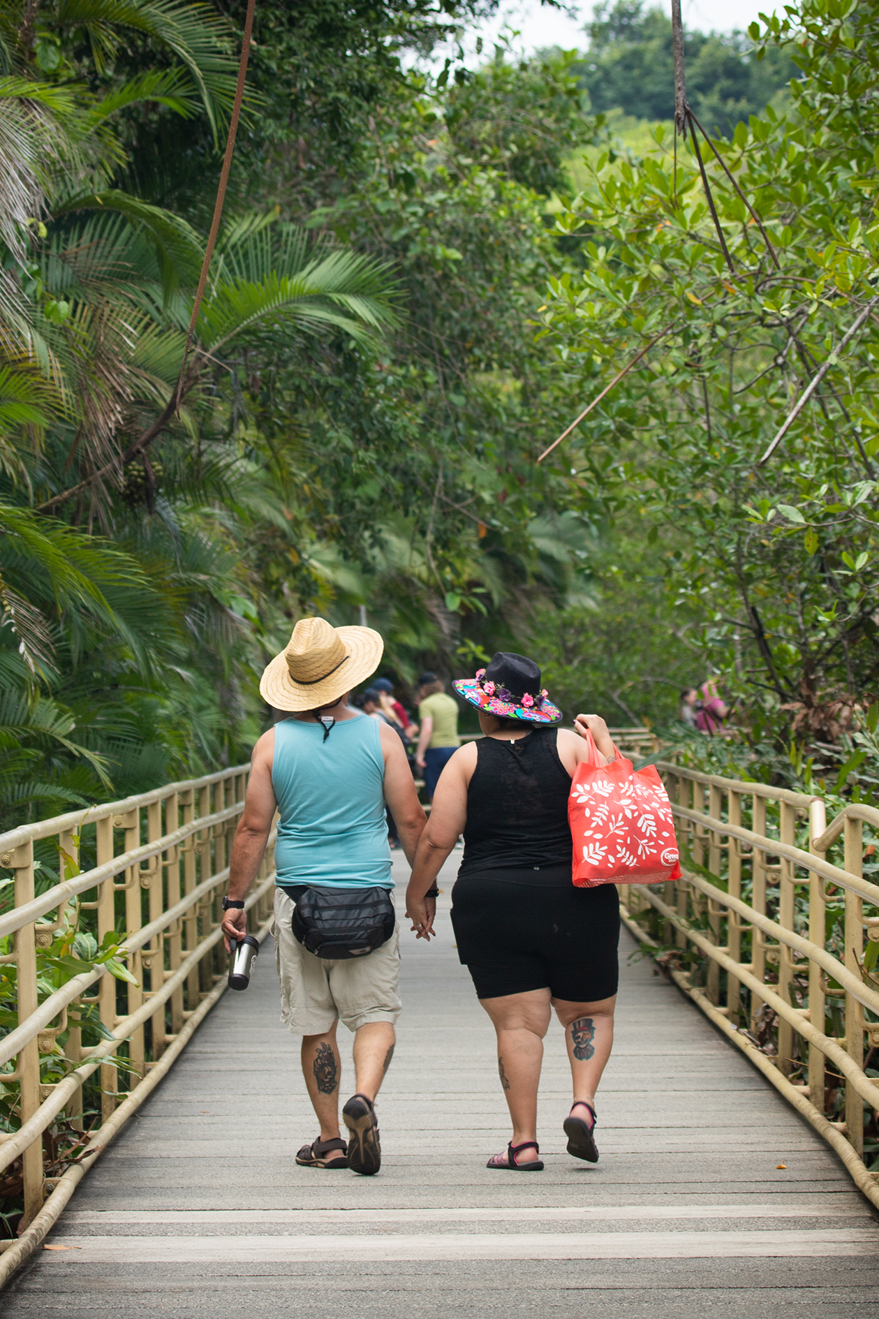Cómo visitar el Parque Nacional Manuel Antonio Entradas, Horarios y Tips