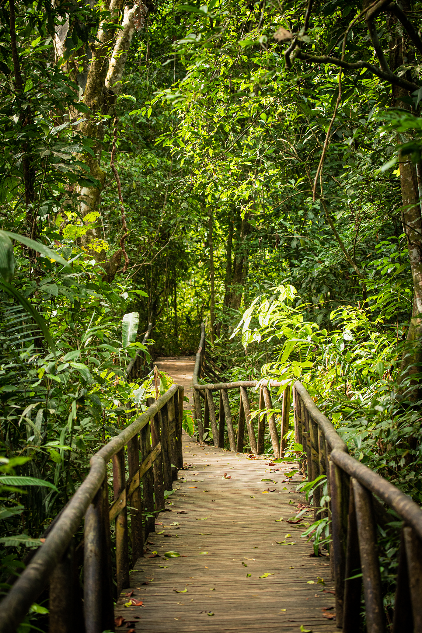 Cómo visitar el Parque Nacional Manuel Antonio Entradas, Horarios y Tips