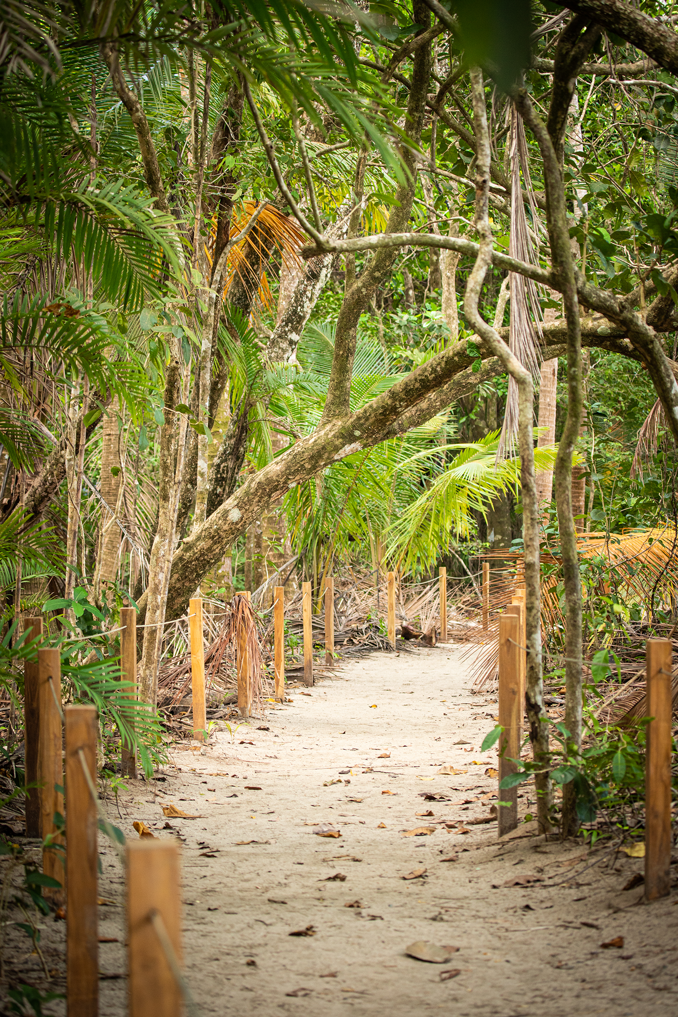 Cómo visitar el Parque Nacional Manuel Antonio Entradas, Horarios y Tips