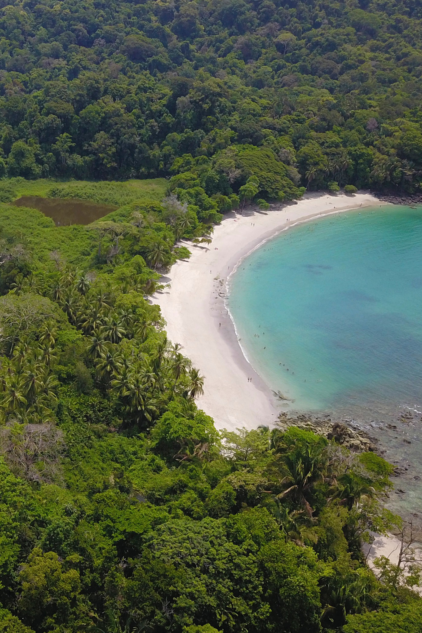 Cómo visitar el Parque Nacional Manuel Antonio Entradas, Horarios y Tips